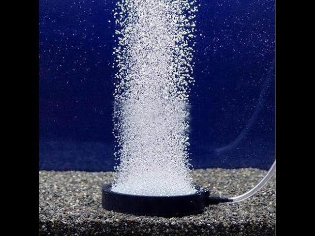 Como se oxigena el agua de una pecera